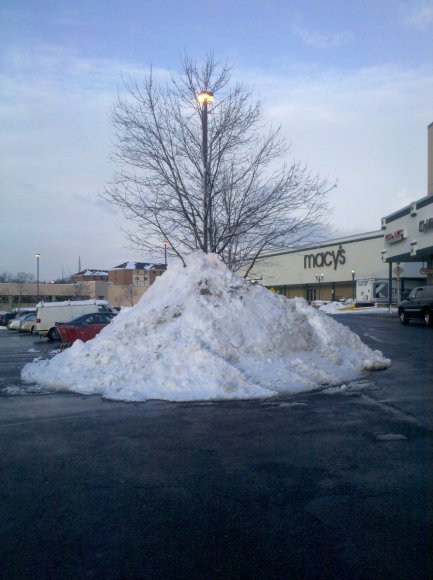 tree_in_snowpile